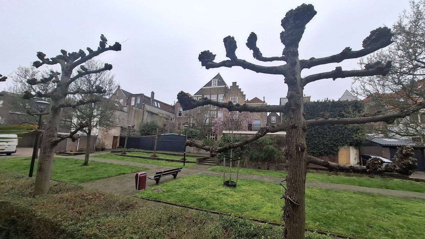 Foto 17 van Wijngaardstraat 17 in Dordrecht