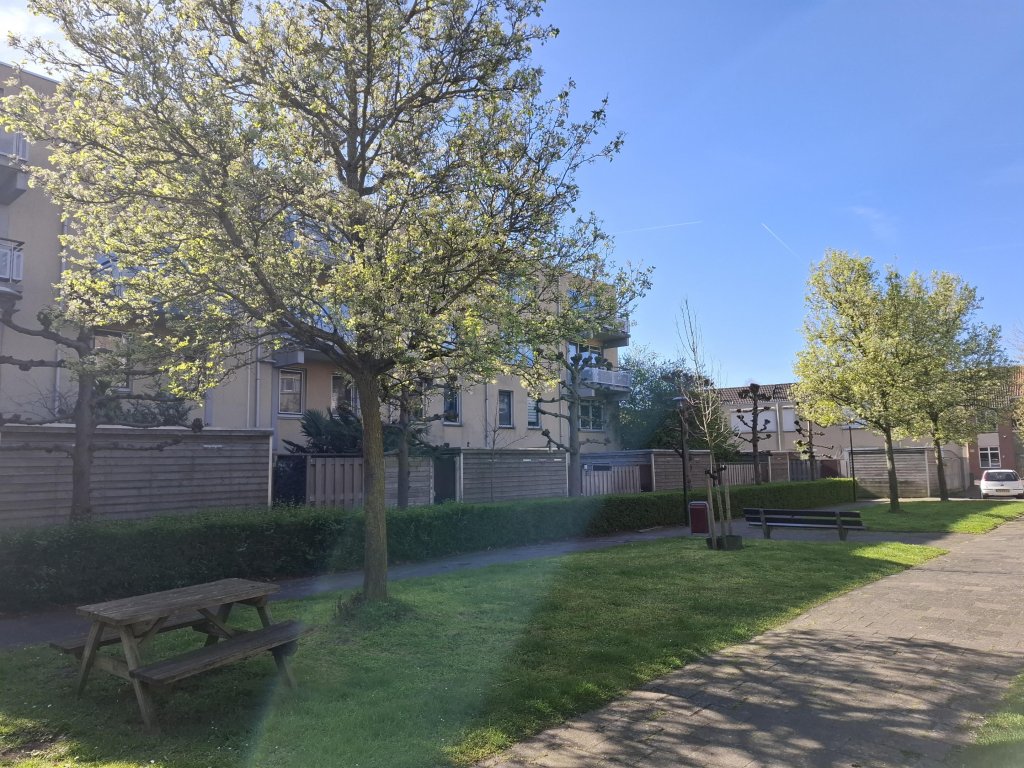 Foto 16 van Wijngaardstraat 17 in Dordrecht