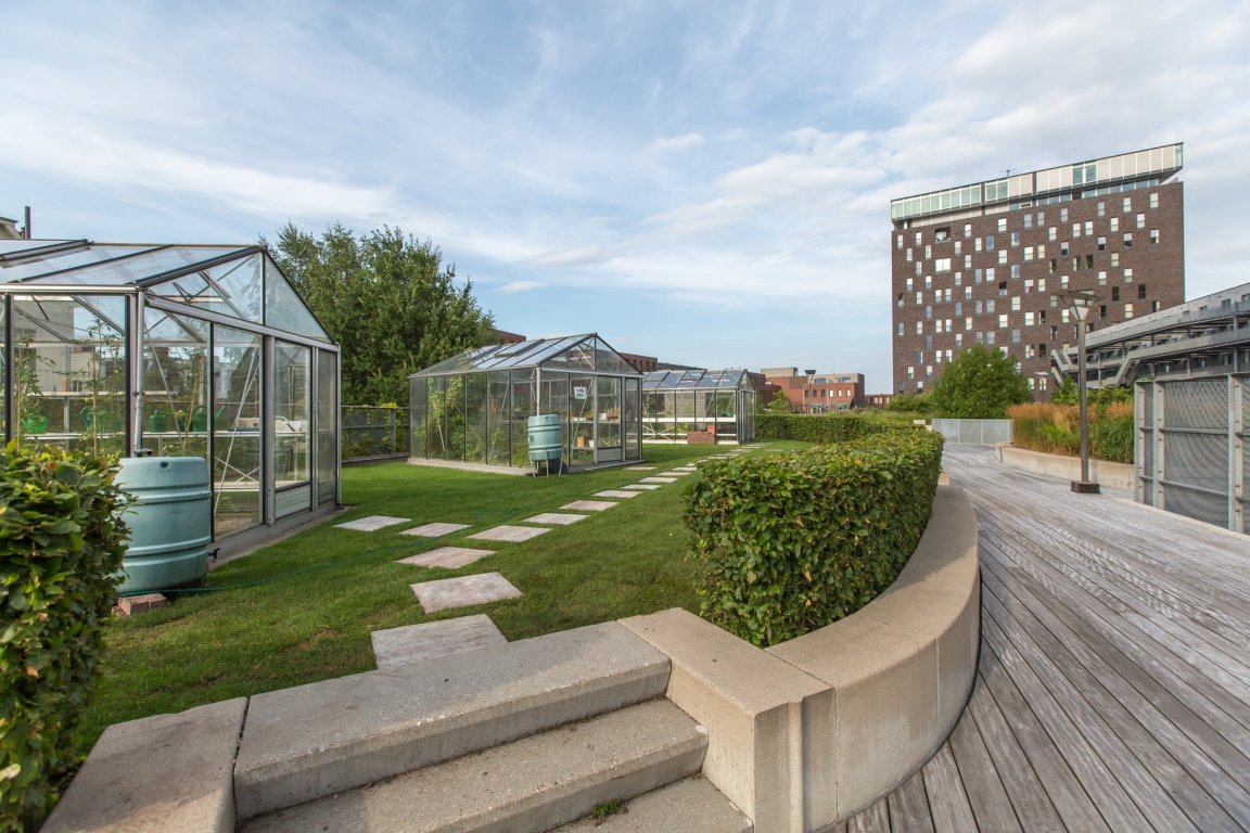 Foto 2 van Het Hout 161 in Groningen