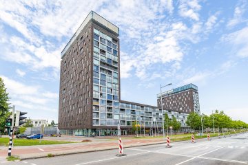 apartments for rent on Het Hout 17
