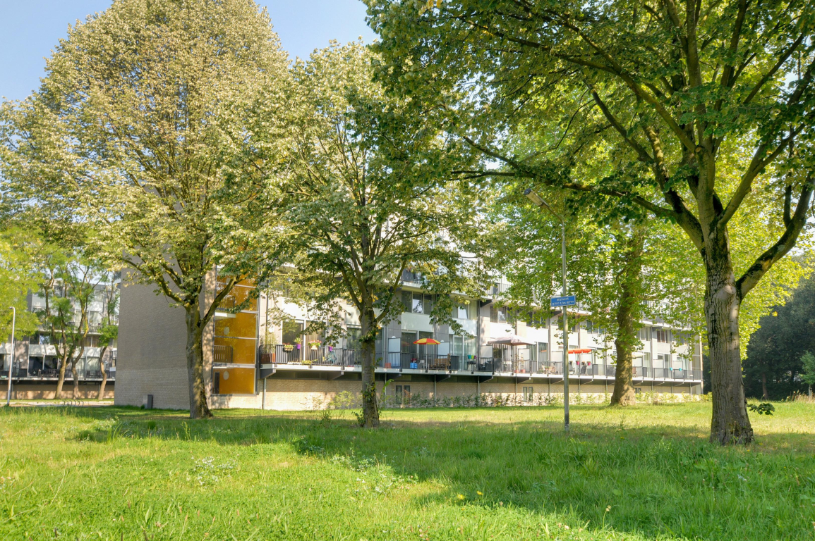 Foto 10 van Malvert 8668 in Nijmegen