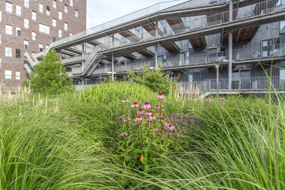 Foto 1 van Het Hout 5 in Groningen