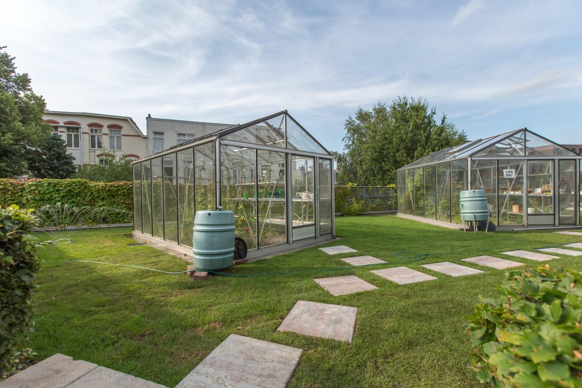 Foto 4 van Het Hout 5 in Groningen