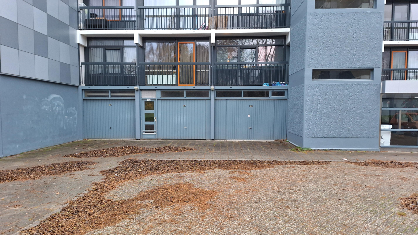 Foto 1 van Lankforst 5545 in Nijmegen