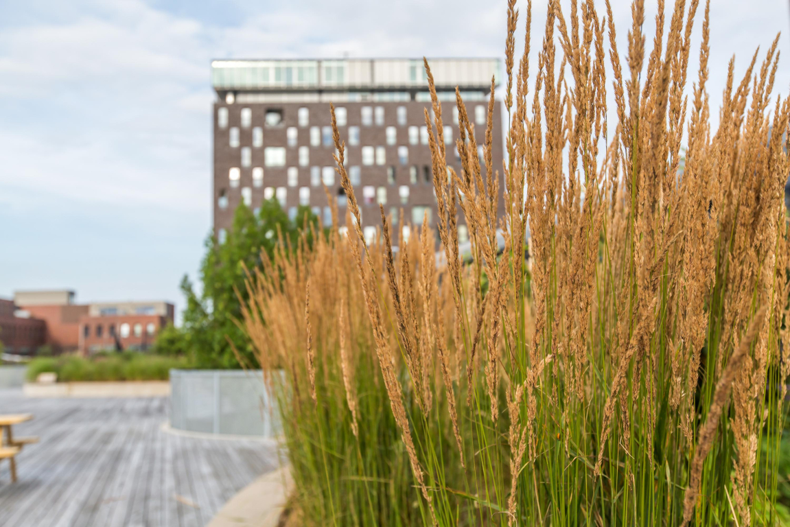 Foto 42 van Het Hout 202 in Groningen