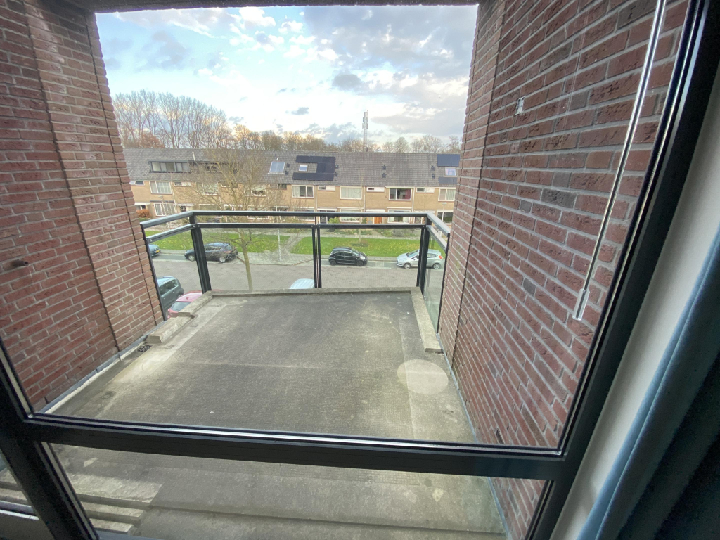 Image 12