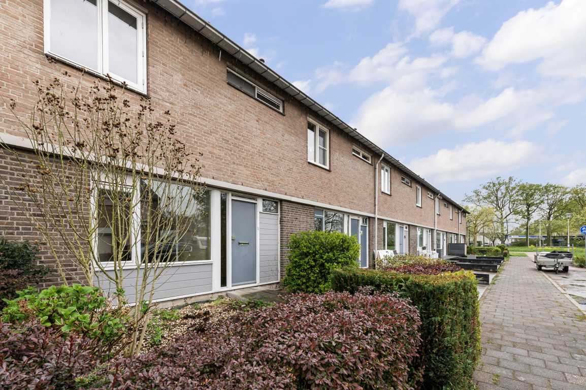 Foto 19 van Malvert 2023 in Nijmegen