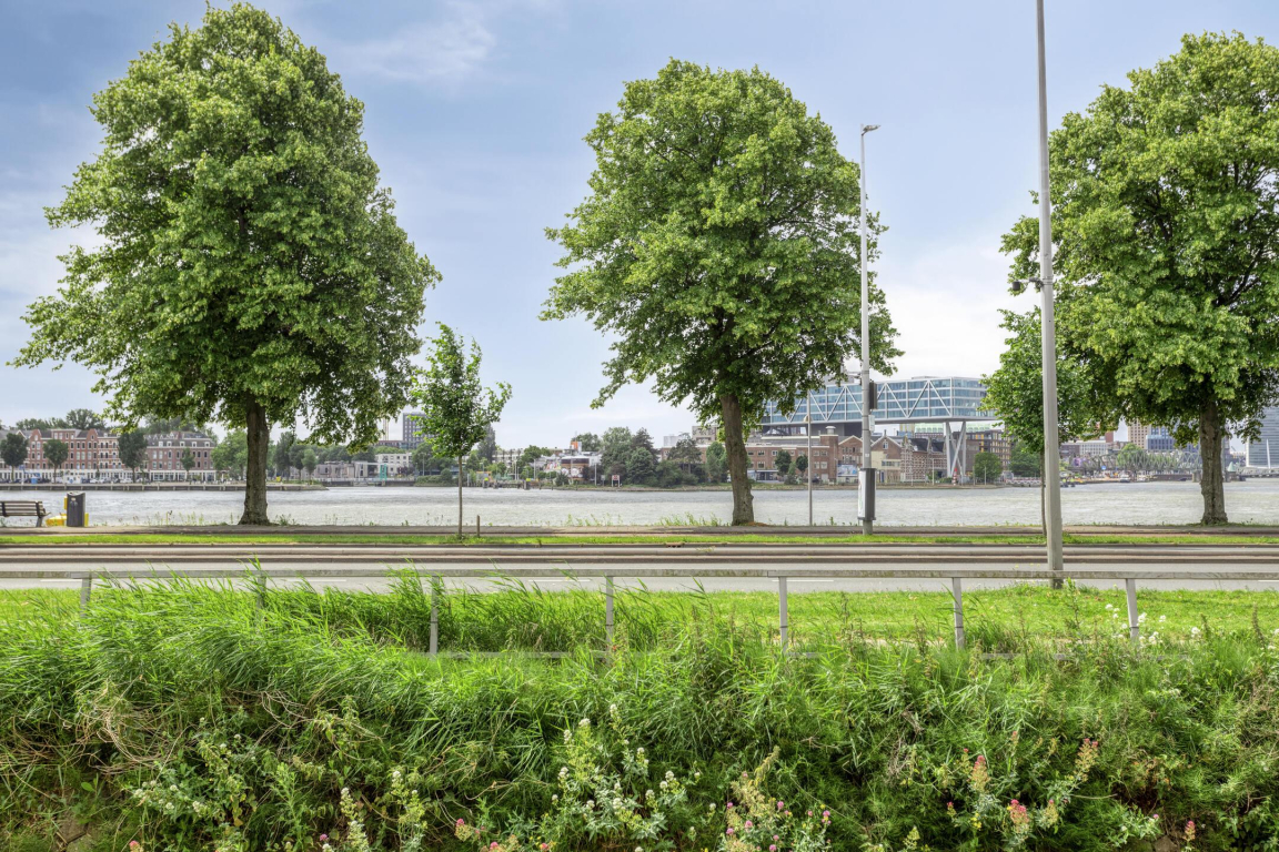 Foto 10 van Oostmaaslaan 225-B in Rotterdam