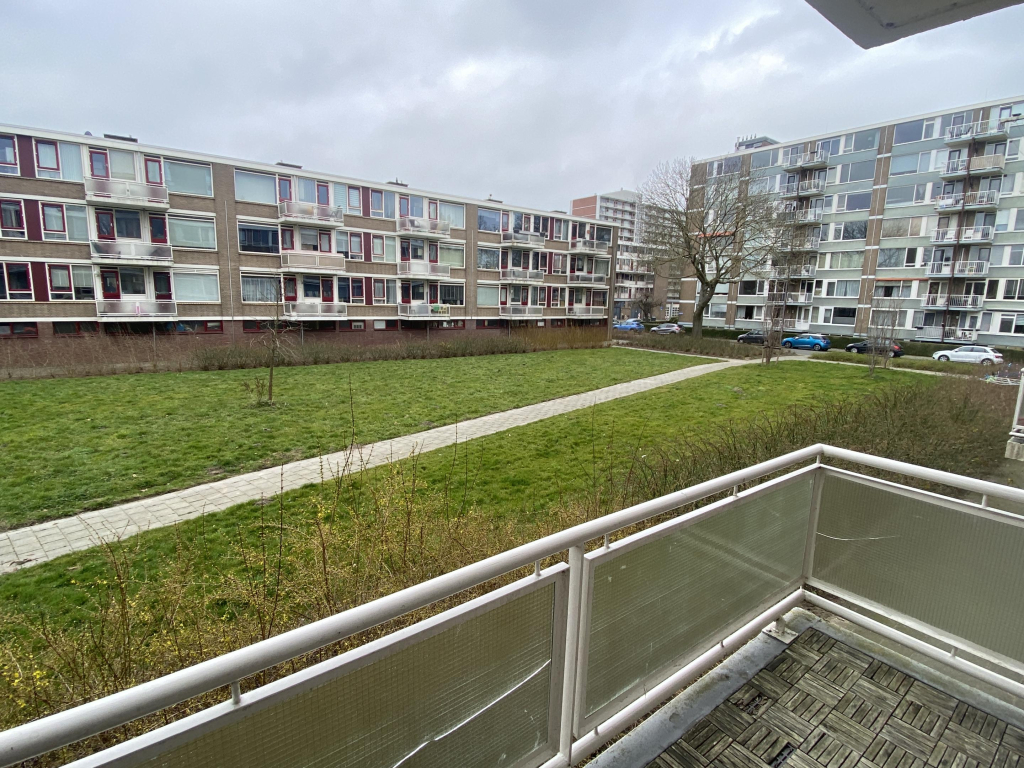 Foto 10 van Valkreek 49 in Rotterdam