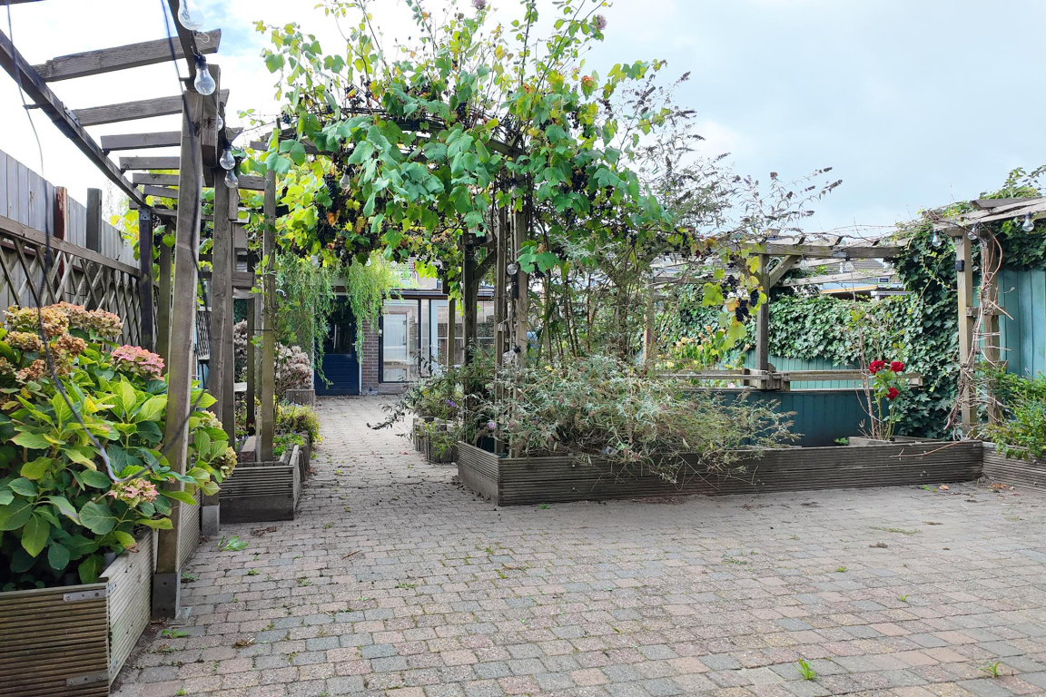 Foto 43 van Houtmolen 12 in Dinteloord