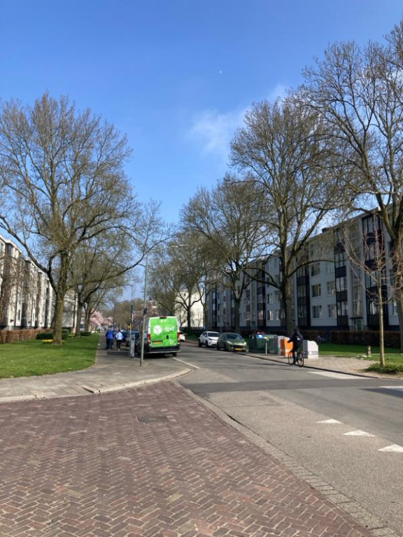 Foto 10 van Groen van Prinstererweg 279 in Dordrecht