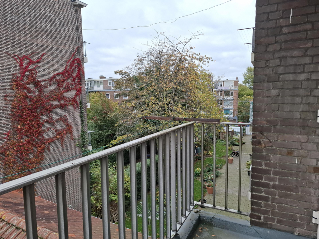 Foto 9 van Pinasplein 17-c in Rotterdam