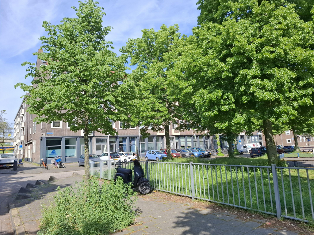 Foto 16 van Pinasplein 17-c in Rotterdam