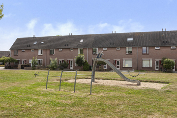 Hillekensacker 2007 in Nijmegen