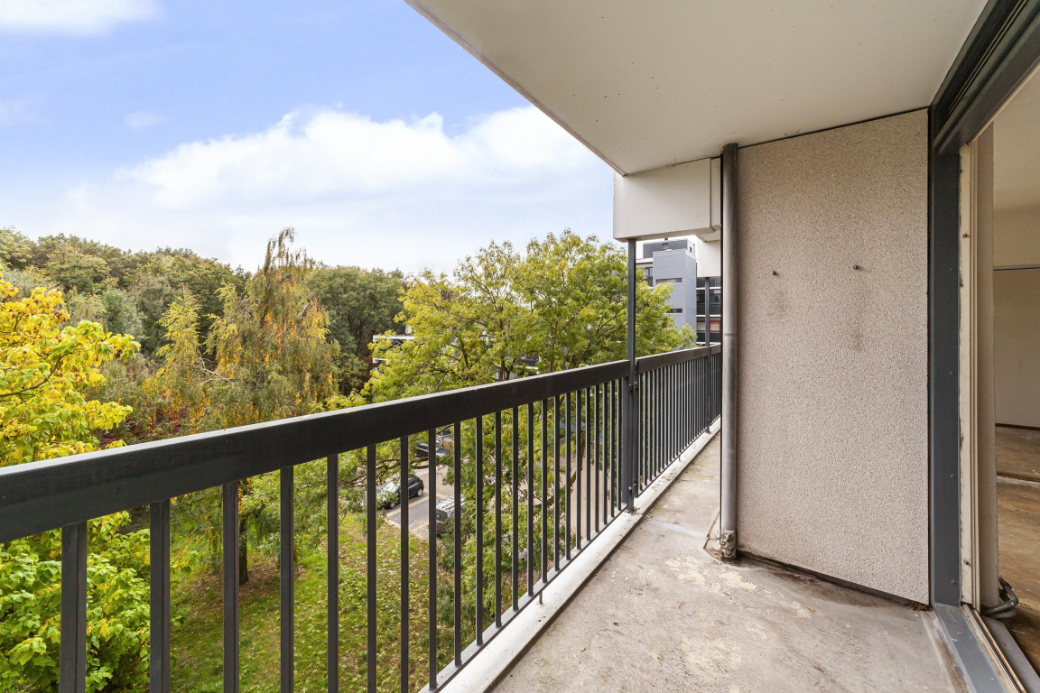 Foto 5 van Lankforst 5611 in Nijmegen