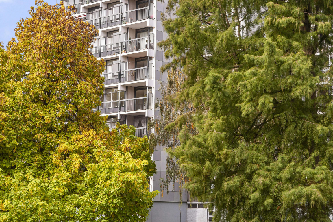 Foto 6 van Lankforst 5611 in Nijmegen