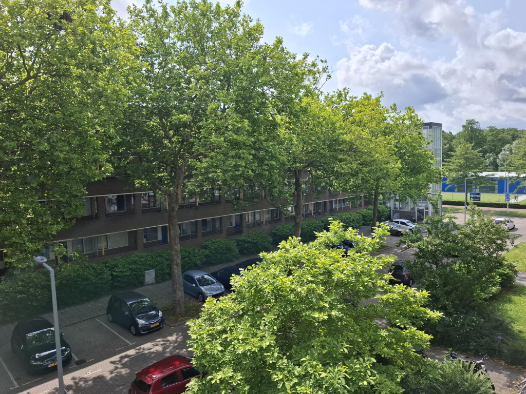Foto 10 van Hontenissestraat 119 in Rotterdam