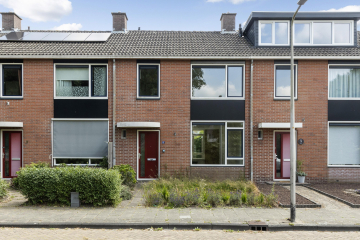 Poolster 11 in Hoogeveen