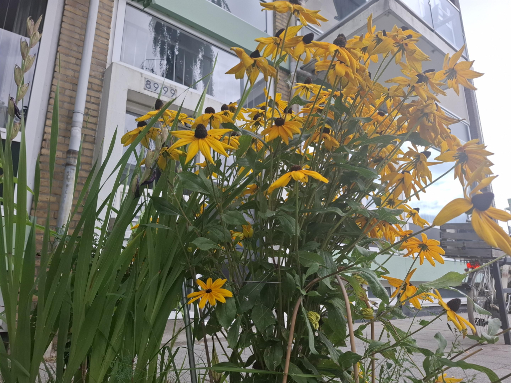 Foto 1 van Van Wijngaardenlaan 89 in Rotterdam