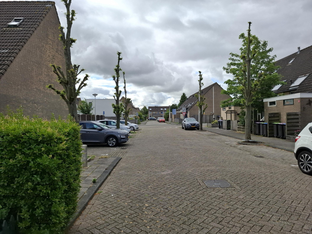 Foto 12 van IJzertijdkreek 2 in Spijkenisse