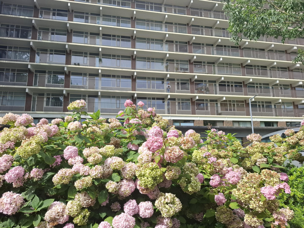 Foto 12 van Niels Bohrplaats 436 in Rotterdam