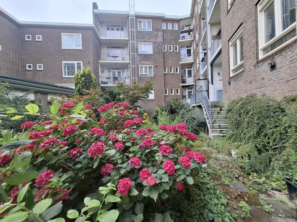 Foto 9 van Stadhoudersweg 43-A in Rotterdam