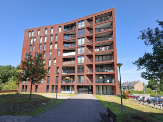 Wijnruitstraat 155 in Hoogvliet Rotterdam