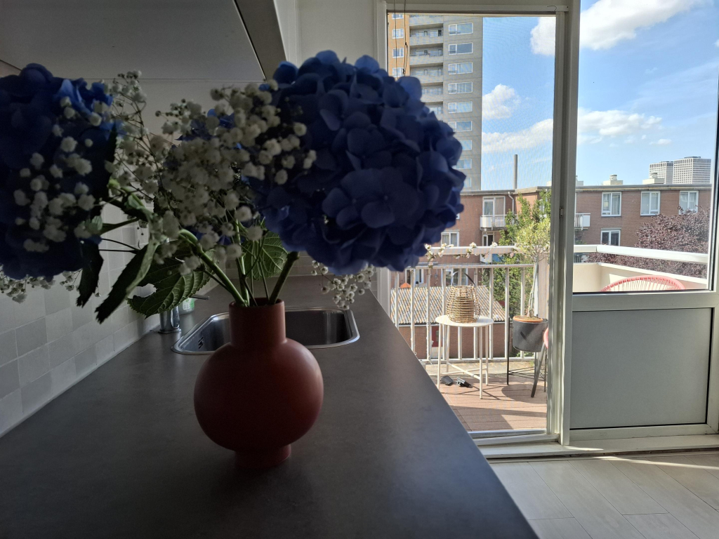 Foto 7 van Baloeranstraat 47 in Rotterdam