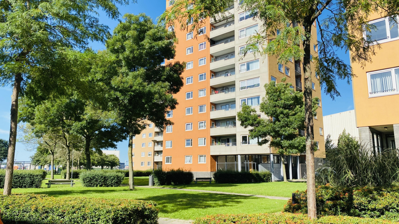 Foto 1 van Speedwellstraat 214 in Rotterdam