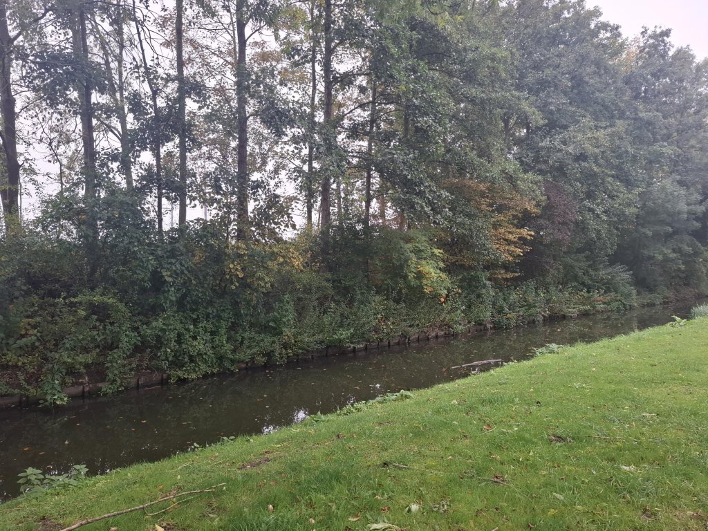 Foto 13 van Hindersteinstraat 81 in Rotterdam