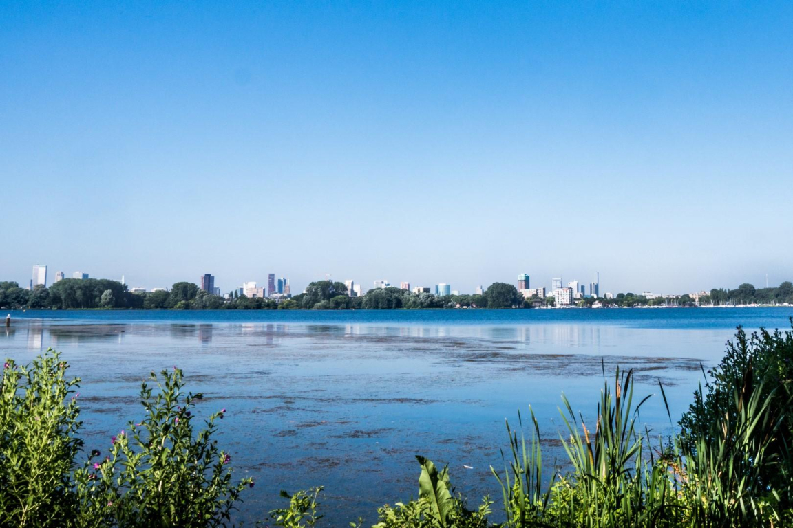 Foto 28 van Palestinastraat 52-D in Rotterdam