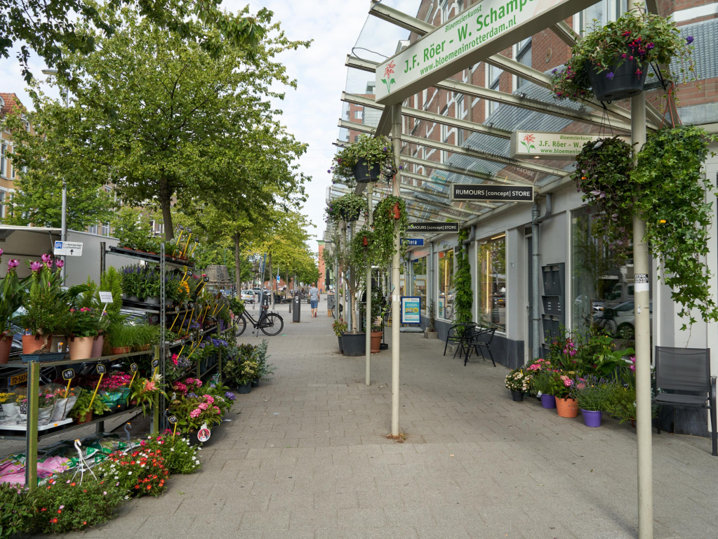 Foto 26 van Palestinastraat 52-D in Rotterdam