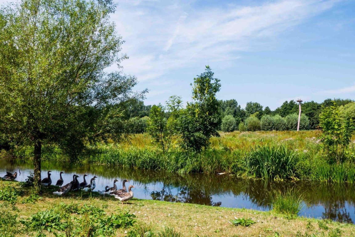 Foto 24 van Vennipperstraat 17 in Rotterdam