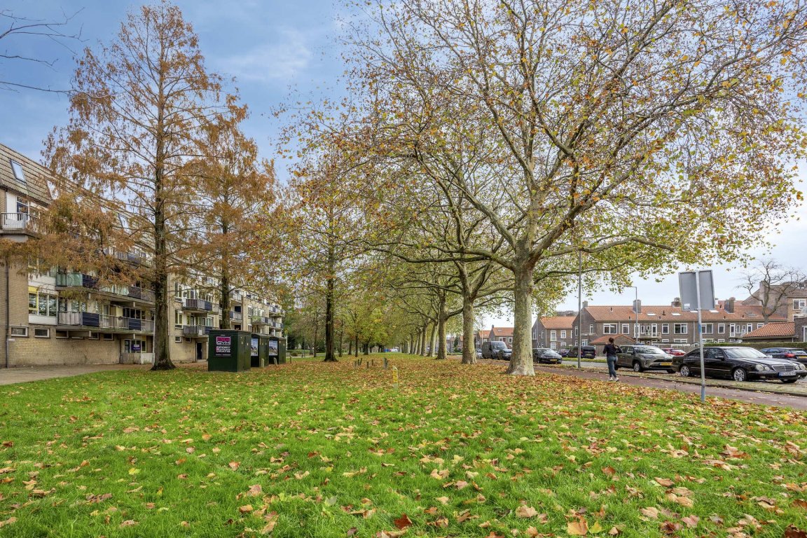 Foto 22 van Vondelweg 95-G in Rotterdam