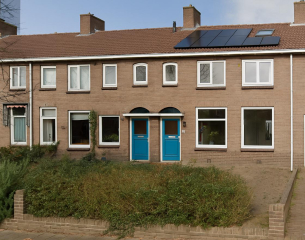 apartments for rent on Abeelstraat 3