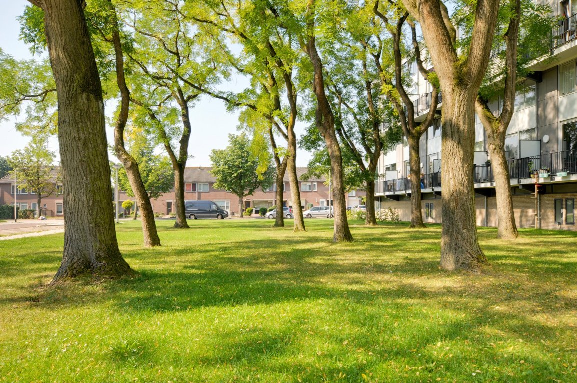 Foto 25 van Malvert 8638 in Nijmegen