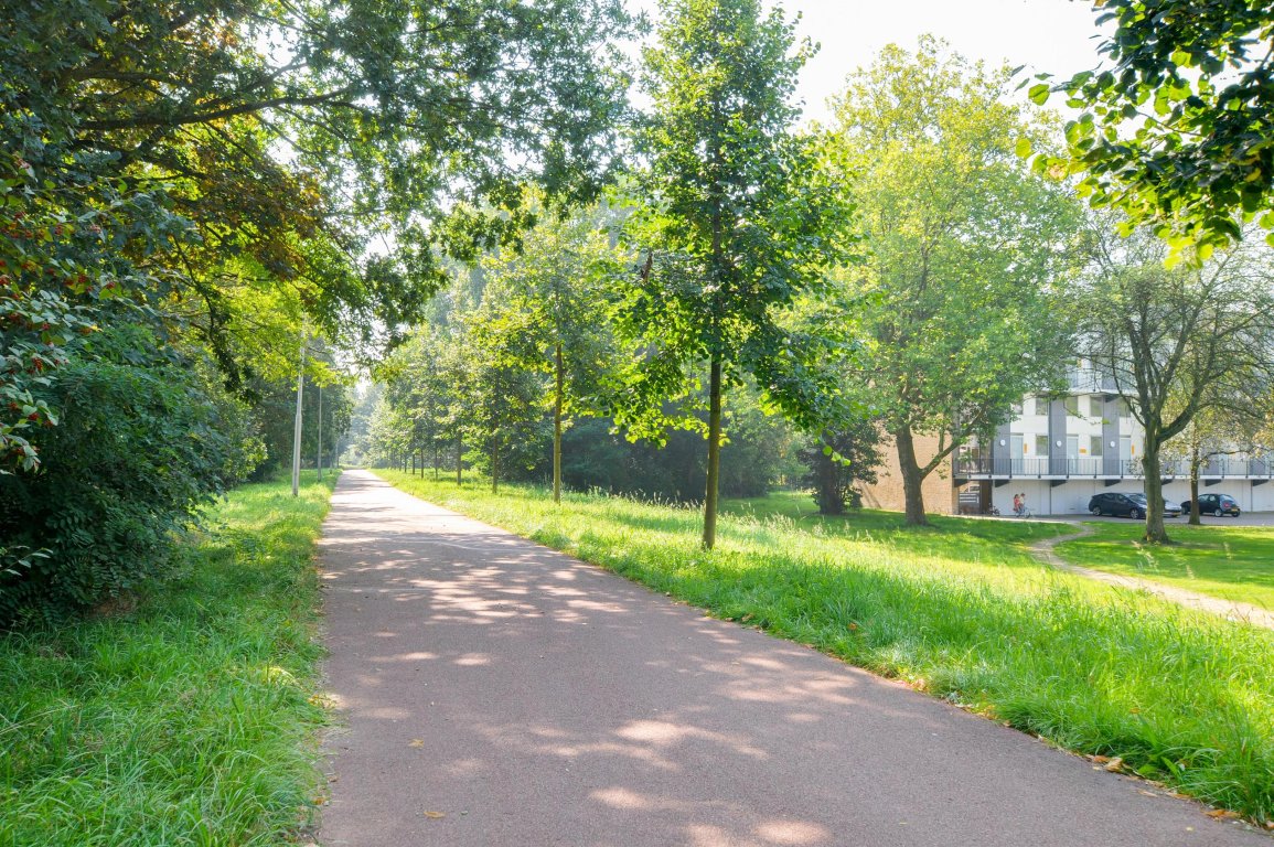 Foto 28 van Malvert 8638 in Nijmegen