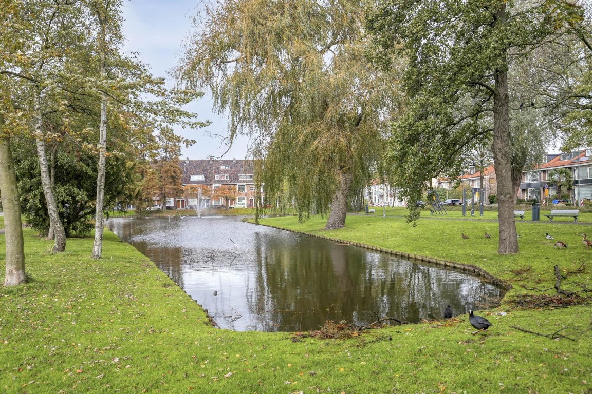 Foto 31 van Theodora Jacobalaan 43-B in Rotterdam