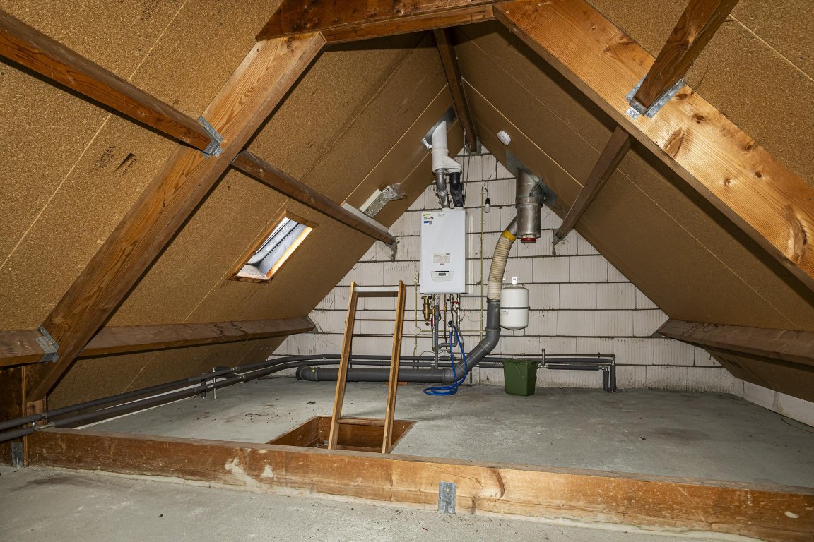 Foto 11 van Veenbes 49 in Ter Apel