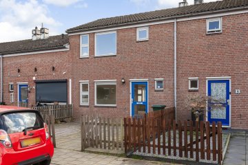 Ornament 11 in Beuningen