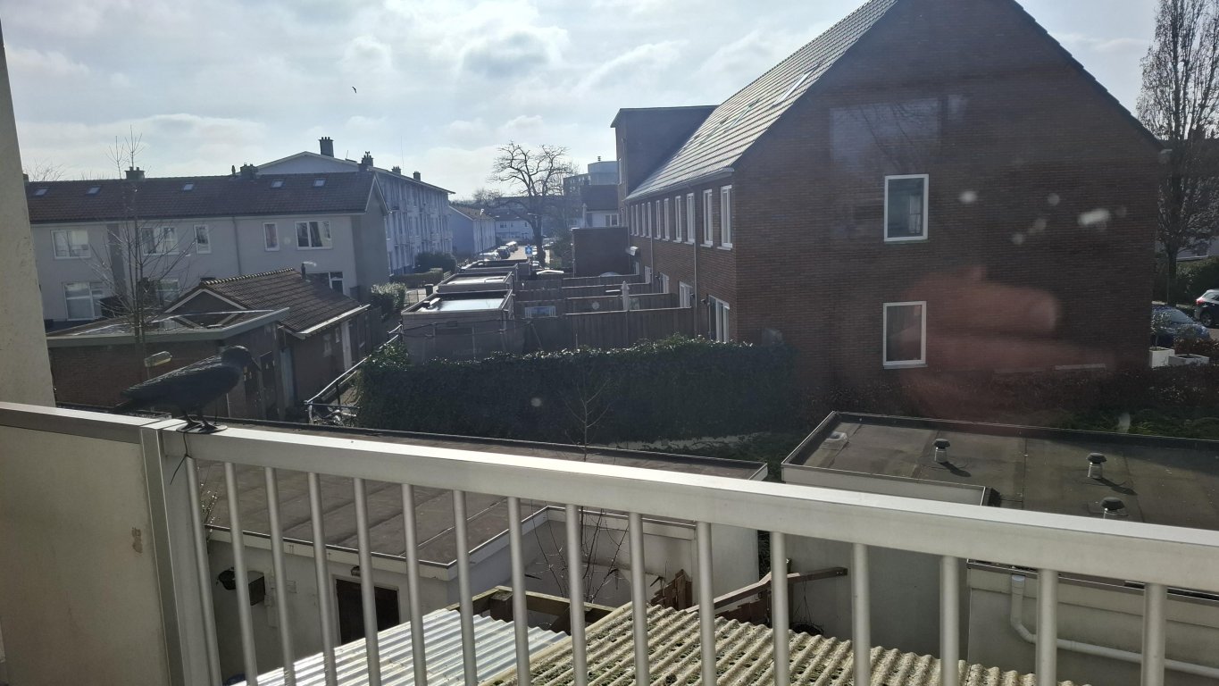 Foto 12 van Noordendijk 609 in Dordrecht