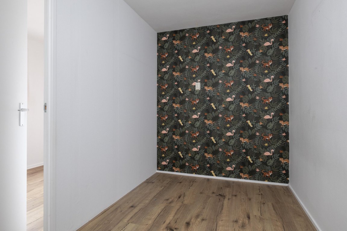 Foto 9 van Draco 35 in Hoogeveen