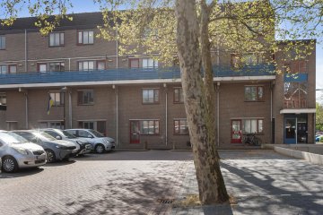 Antilopespoor 489 in Maarssen