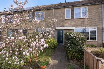 Randweg 182 in Meppel