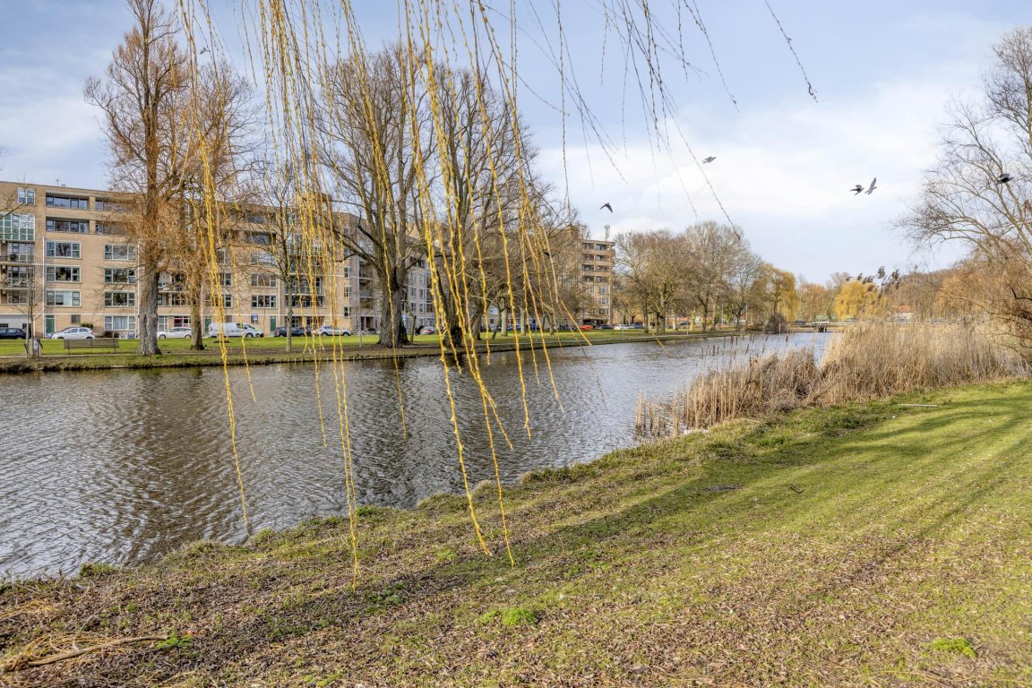 Foto 22 van Libanonweg 100 in Rotterdam