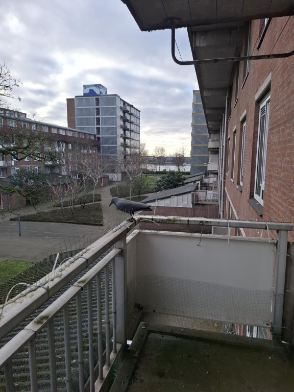 Foto 12 van Slamatstraat 24 in Rotterdam