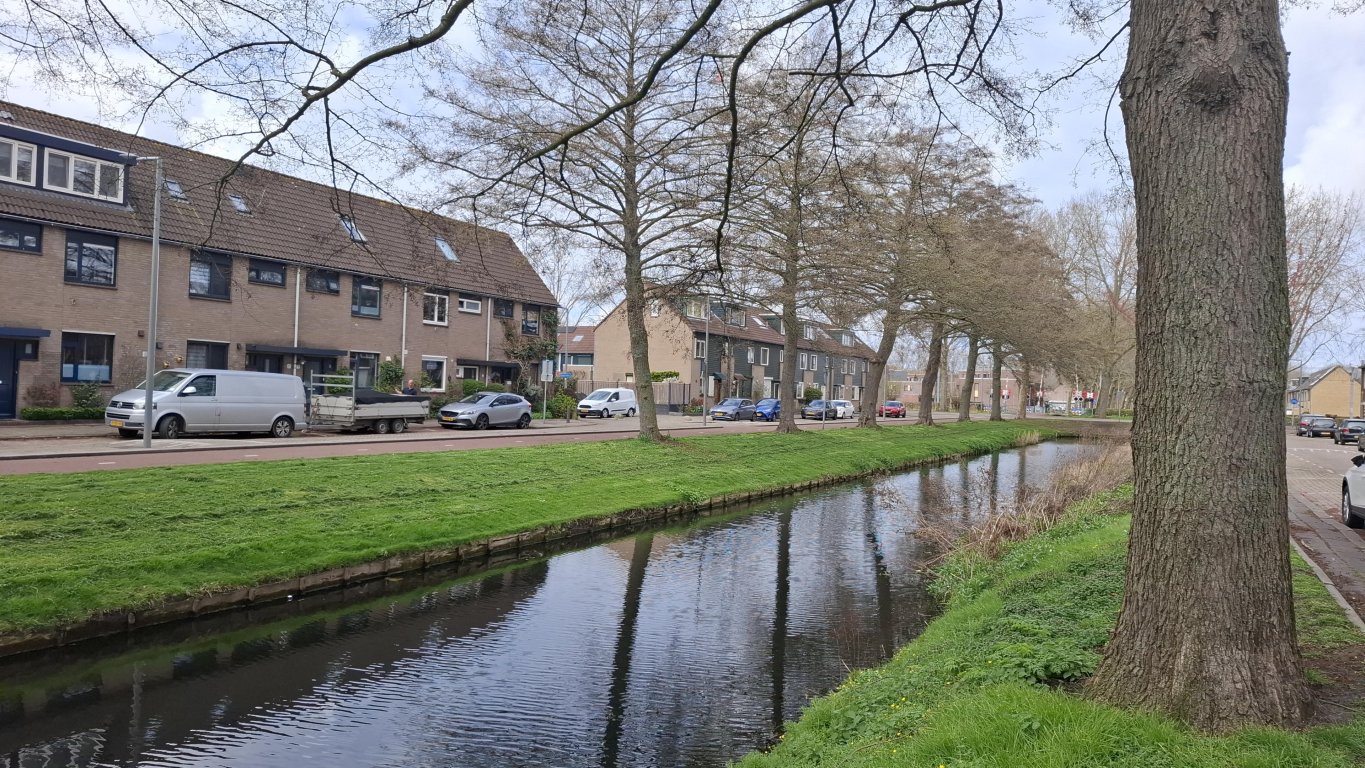 Foto 21 van Grote Wielen 32 in Rotterdam