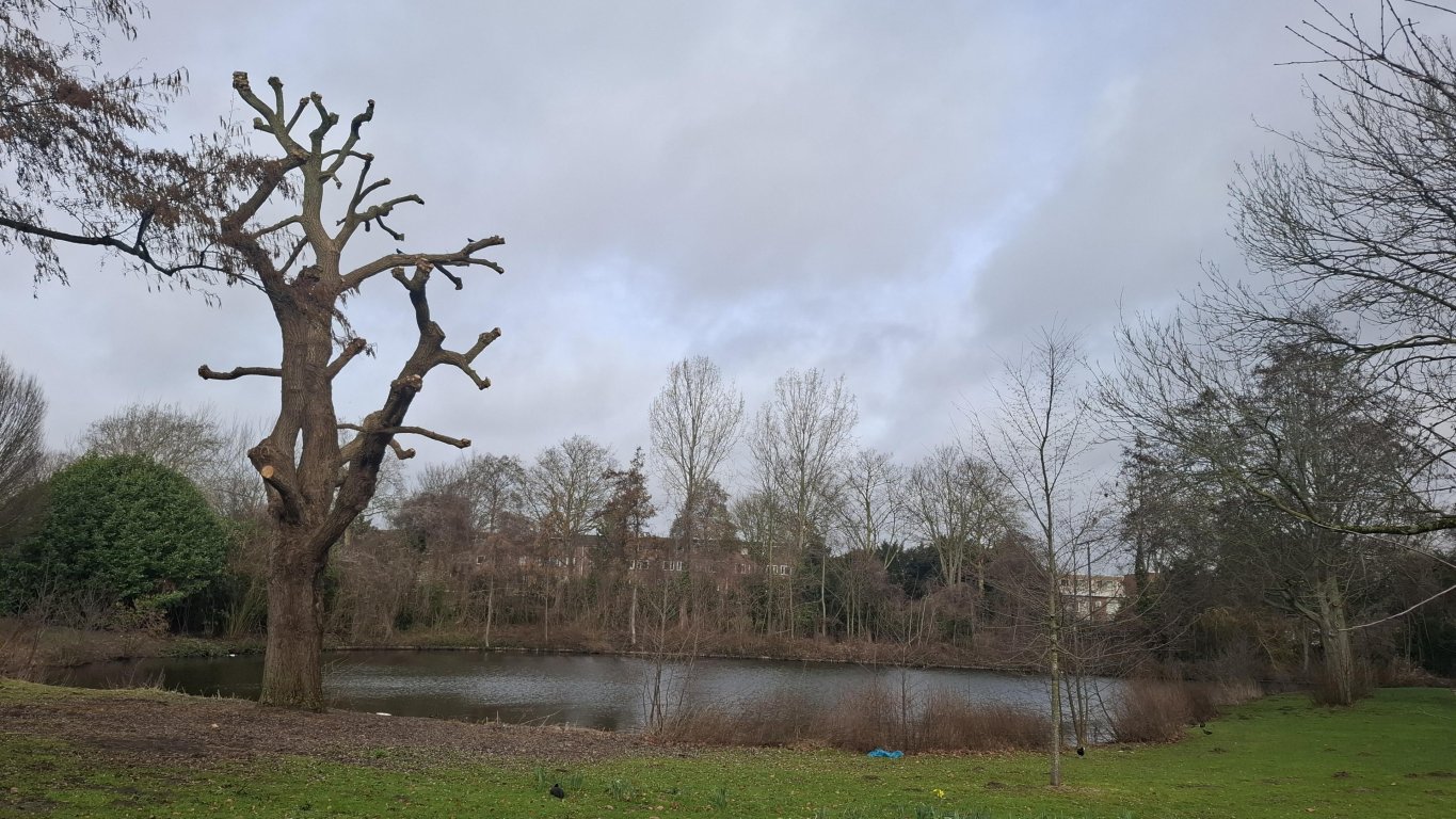 Foto 12 van Troelstraweg 38 in Dordrecht