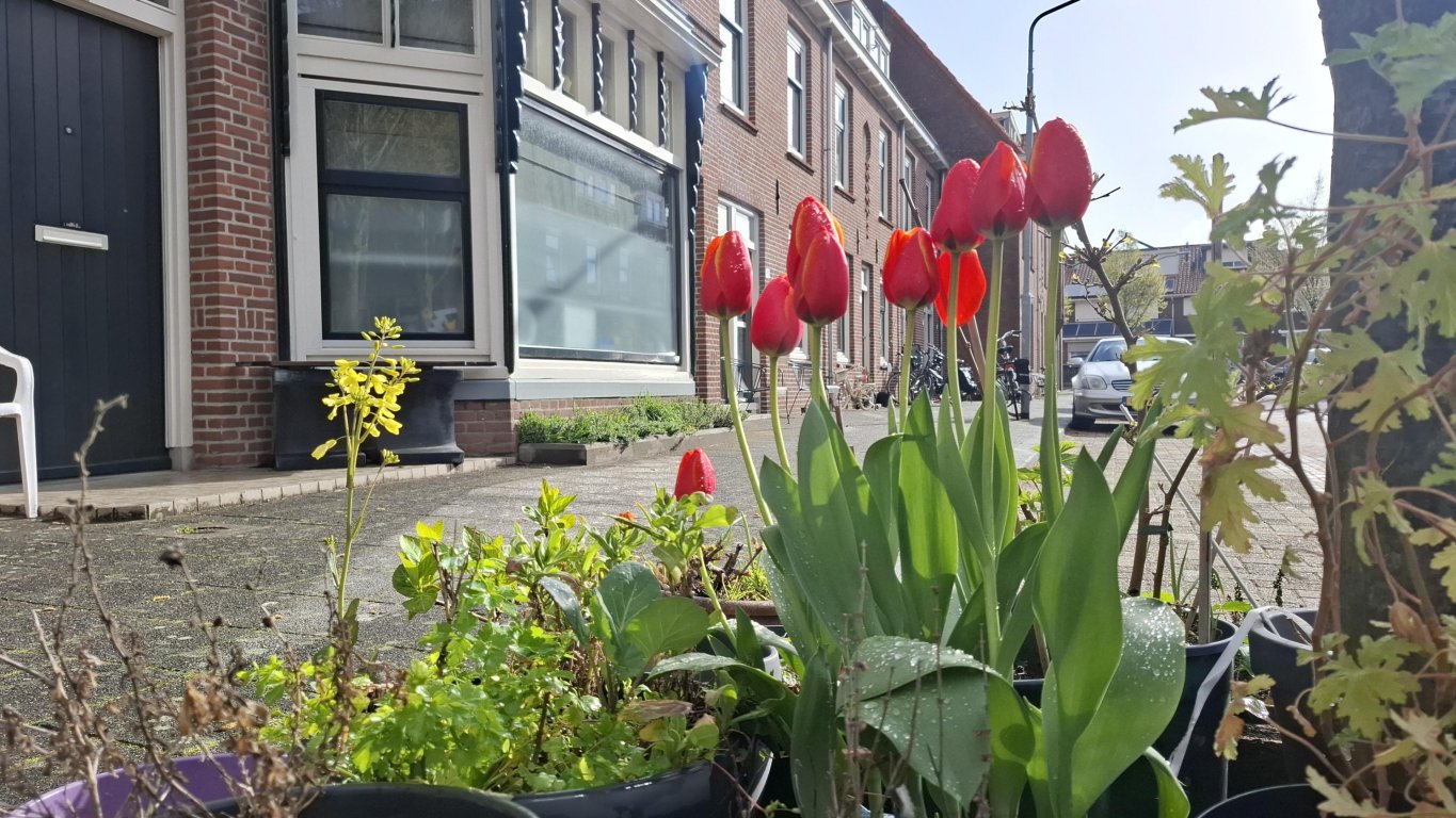 Foto 1 van Johannes Spaanstraat 70 in Dordrecht