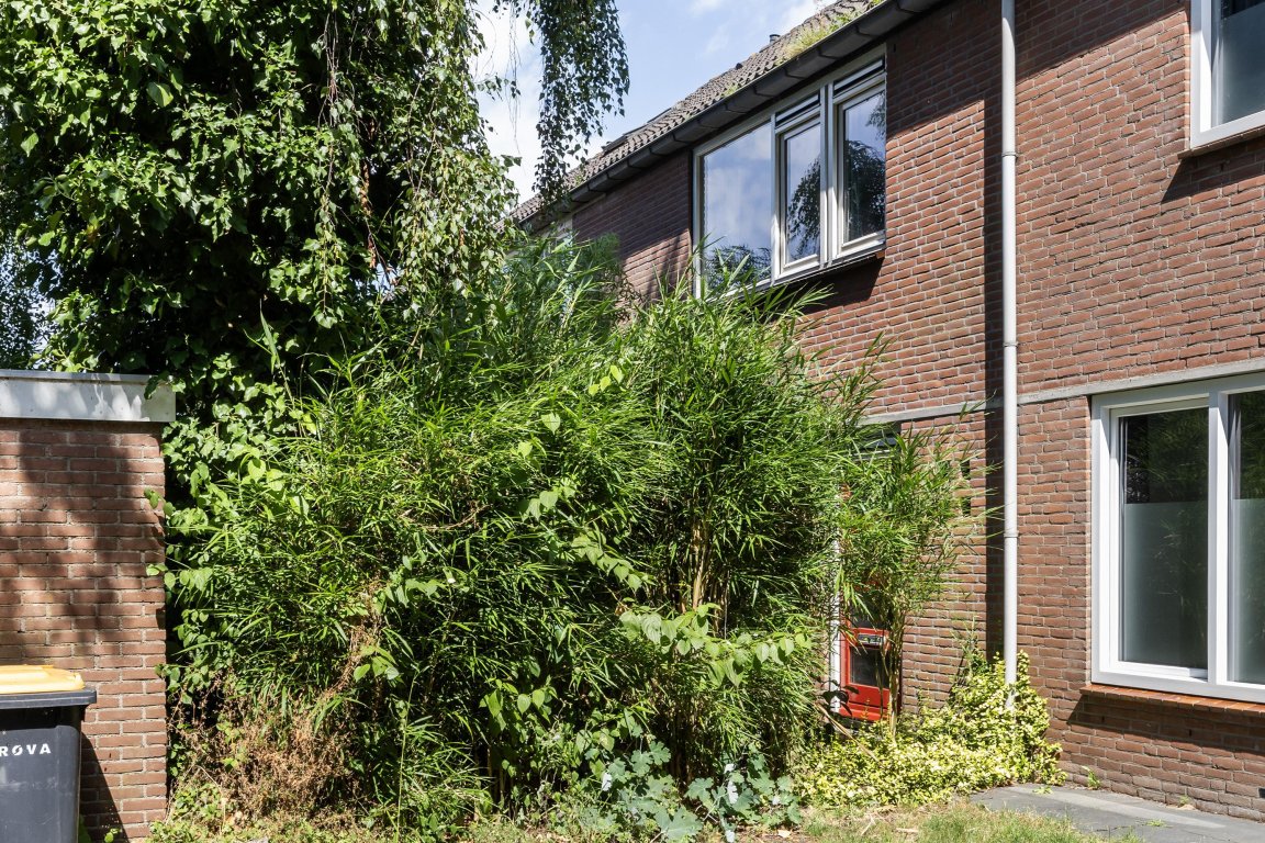 Foto 1 van de Rikking 28 in Steenwijk